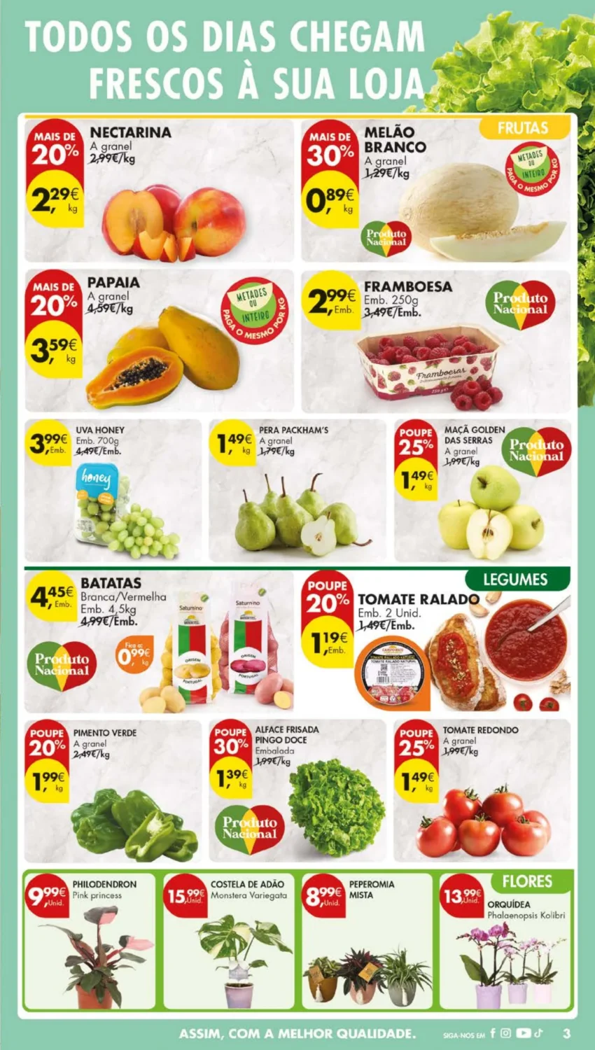 Página do Antevisão Folheto Pingo Doce