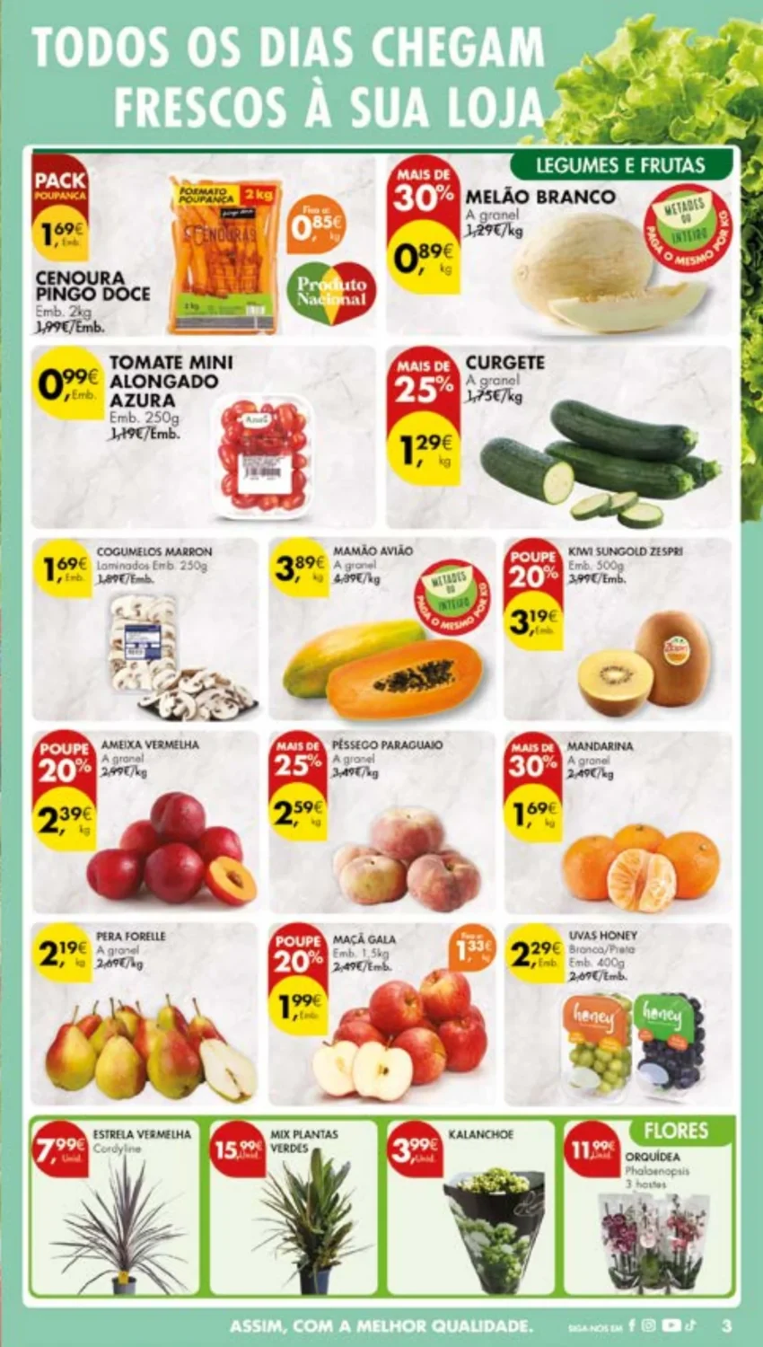 Página do Antevisão Folheto Pingo Doce