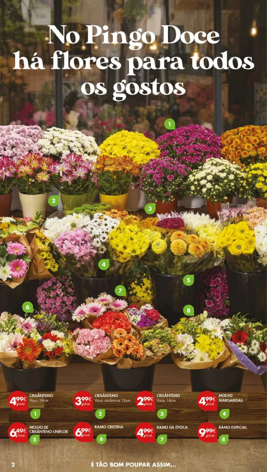 Página do Antevisão Folheto Pingo Doce
